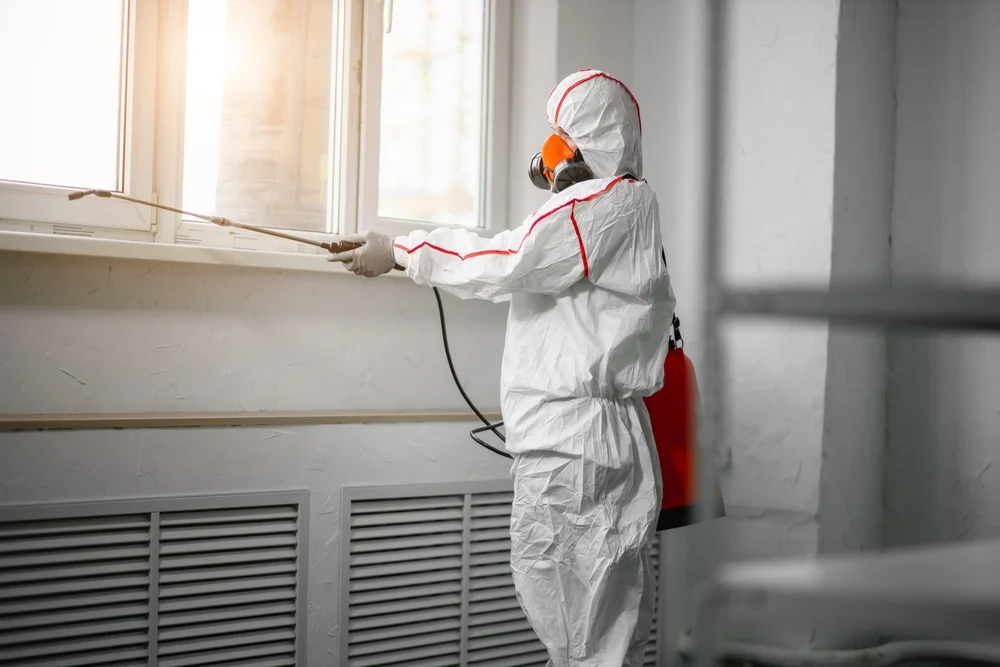 Professional mold remediation services in Creston, OH